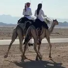 قعود للبيع الأيمن