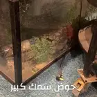حوض سمك كبير