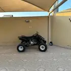 رابتر وايف زد 450