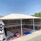 بيوت شعر المطور نضام ملكي