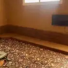 جلسة أرضية