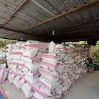مواشي