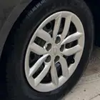 جنوط  أوبتيما