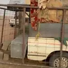 قلص سحب