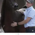 مطلوب سايس خيل