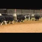 عرض بيع نجد فاخره