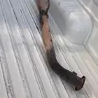ماصوره هلكس سليمه من التنسيم وكلشي   صوتها كفو الي يبيها خا