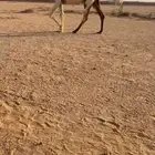 ضريبه البيع