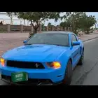 موستنج 2012 بانوراما 5O كالفورنيا سبيشل 8 سلندر