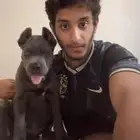 كلب كين كورس