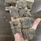 عود صيني تربل التربل