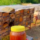 عسل سدر حر جبلي شي طيب