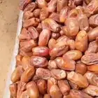 تمر سري بكميات كبيره