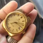 شاشه وكميرات