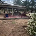 4 جلسات كراسي و3 جلسات ارضية