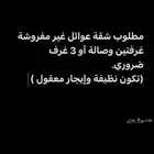 مطلوب شقة