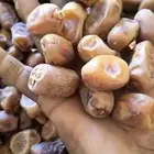 للبيع تمور بأصناف عده