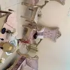 كتب