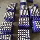 بيض بلدي الهاشمي
