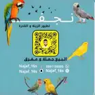 فرخ دره هولندي