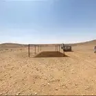 مضلات الابل مضلات غنم شبوك ابل شبوك غنم