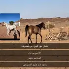 مهر