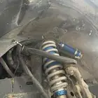 جلد مقاصات استراليه ضمان سنه يوجد تابي وتمارا