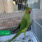 للبيع 450
