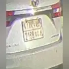 ابحث عن صاحب لوحه