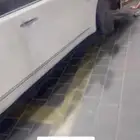 4 ابواب ورفرفين وشنطه بدي بلد للبيع