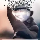 توصيل مشاوير