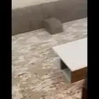 جلسة ارضيه