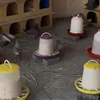 حمام نجران