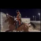 حصان واهو شرط السلامة وركوبه طرب