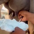 اميتت ميت ولدها البارح