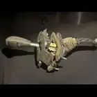 للبيع عصا قير كابريس 6 نمر