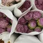 ورد طبيعي بالجملة