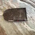 تمر ونانة ضميد