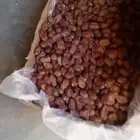 تمر للبيع التواصل واتساب فقط