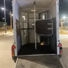 للبيع عربة فور وليم