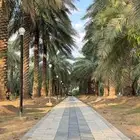 منتجع كسب للإيجار اليومي بريده