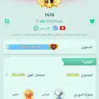 حساب يلا لودو