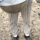 خلفه حليب وهداوه وانتاج تحتها قعود  فحل حليبها واجد
