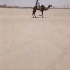 رحول ابل مشروطه