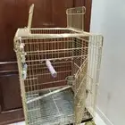 قفص بغبغاء