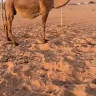 للبيع ملاقي واصله