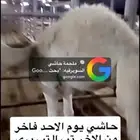 حاشي فاخر