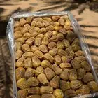 تمر سكري مفتل