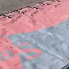 شراعات كرونا