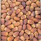 رطب سكري رقم 2